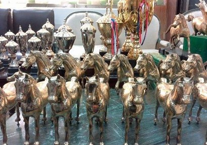مهرجان الخيول العربيه