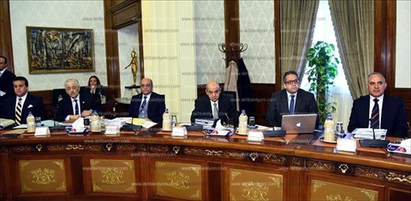 الحكومة توافق على تحويل الجامعة المصرية من خاصة إلى أهلية