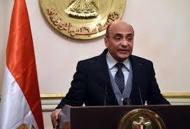 وزير الشئون البرلمانية يقدم تقريرا عن دعم مصر لحقوق الإنسان