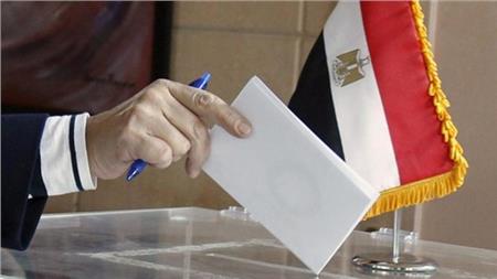 فيديو| سفير مصر بأنجولا: توفير كل التجهيزات الأمنية والفنية لتصويت المصريين