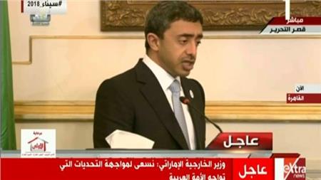 فيديو..وزير الخارجية الإماراتي: الوضع السوري في غاية التعقيد