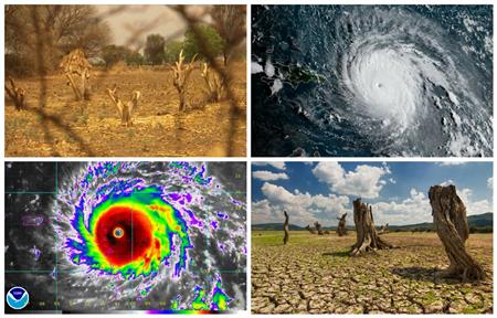 في اليوم العالمي للأرصاد.. شبح العواصف والجفاف يهدد الأرض 