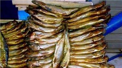 إعدام والتحفظ على 18 طن أسماك مملحة غير صالحة للاستهلاك الأدمي
