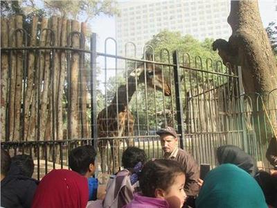 حديقة الحيوانات.. «فسحة الغلابة» تنتظر الآلاف في شم النسيم