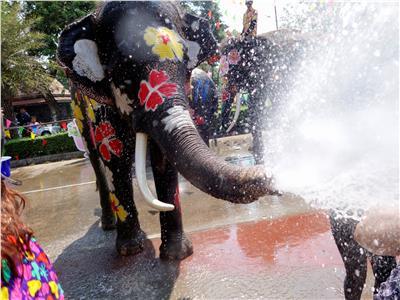 العالم في صور| احتفالات تايلاند بـ«عيد الماء»
