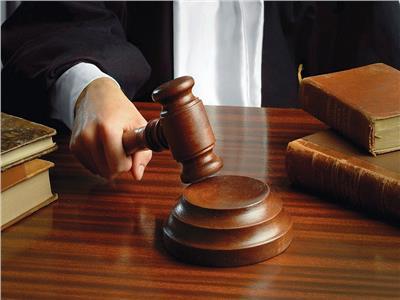 اليوم.. استئناف النيابة على براءة 7 أشخاص متهمين بـ«التظاهر»