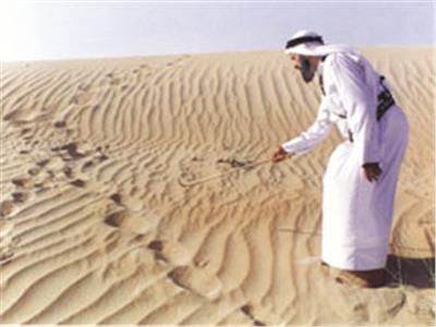 «قصاص الأثر» مباحث جنائية بالفطرة وعلم يدرس في الصحراء