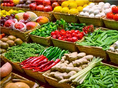 «الزراعة»: منظومة جديدة لتيسير وصول الخضر والفاكهة للمستهلك مباشرة