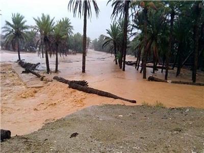 ارتفاع عدد المفقودين في إعصار ماكانو باليمن إلى 40 شخصًا
