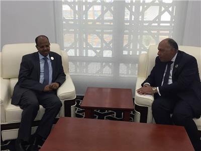 وزير الخارجية يلتقي نظيره الجيبوتي على هامش اجتماعات مجلس الاتحاد الأفريقي