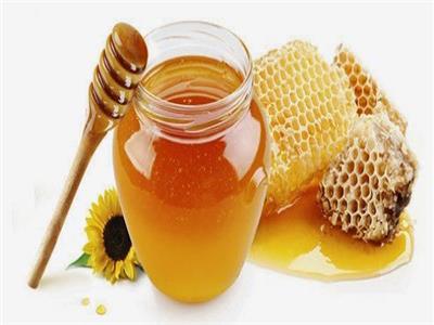 تعرفي على فوائد عسل النحل الصحية والعلاجية