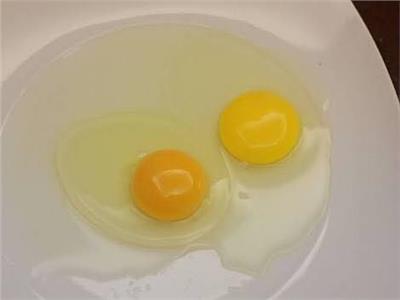 خبيرة تغذية : معرفة صحة البيض من لون الصفار