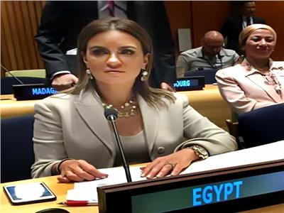 مصر تلقي بيان أكبر تحالف للدول النامية في الأمم المتحدة 