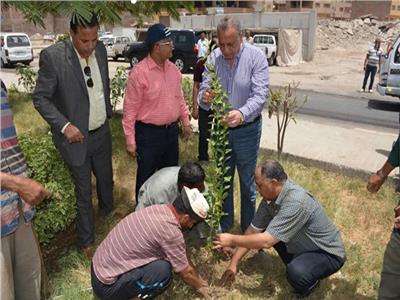 «الدالى»يشارك العمال فى مبادرة «1000 شجرة» بإمبابة