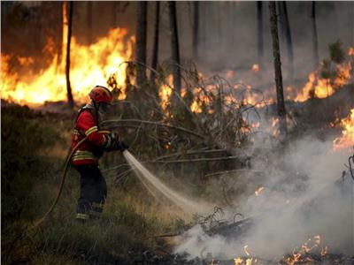 البرتغال تخمد حريقا هائلا بمنطقة الغرب السياحية