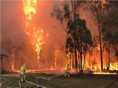 مصرع طيار أثناء إخماد حرائق غابات في استراليا