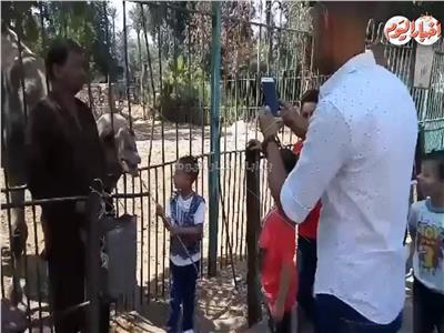 فيديو| توافد المواطنون على حديقة الحيوان في اليوم الأول من عيد الأضحى