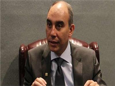 رد قاسي من سفير مصر في مجلس حقوق الإنسان على المفوضة السامية