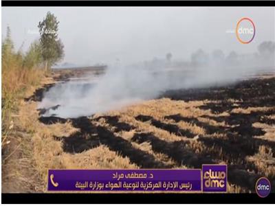 فيديو| البيئة تكشف أسباب انخفاض حريق قش الأرز