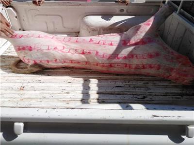 صور| ضبط 46 طن لحوم ودواحن وأسماك فاسدة خلال أسبوع بـ21 محافظة