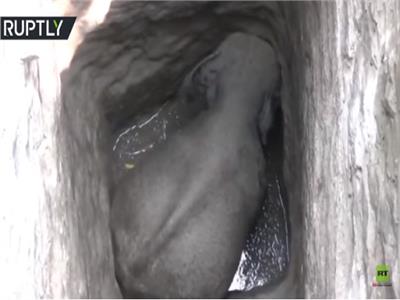 فيديو| لحظة إنقاذ «فيل صغير» عالق في بئر
