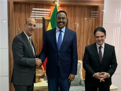 سفير مصر الجديد في إثيوبيا يقدم أوراق اعتماده