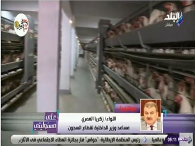 فيديو| مساعد وزير الداخلية: السجون تنتج 150 مليون بيضة سنويا