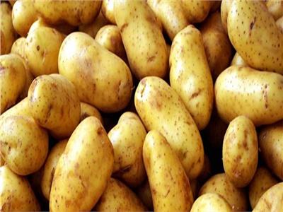فيديو| الحكومة تزف بشرى للمواطنين بخصوص أزمة البطاطس