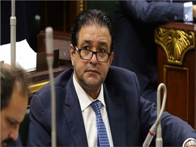 حقوق إنسان البرلمان: نتابع حادث مقتل «الصيدلى المصري» بالسعودية