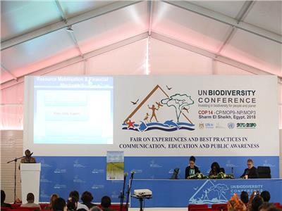 مؤتمر التنوع البيولوجي يحتفل بمرور 15 عامًا على بروتوكول «قرطاجنة»