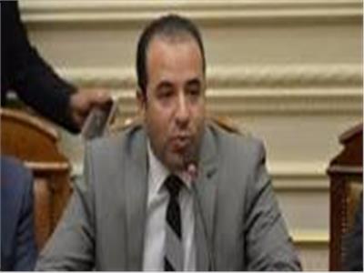 برلماني يشيد باهتمام الرئيس السيسي بمؤتمر القاهرة الدولي للاتصالات