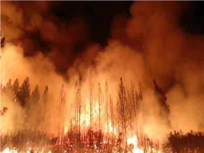 خفض عدد المفقودين في حرائق غابات كاليفورنيا إلى 25 شخصًا