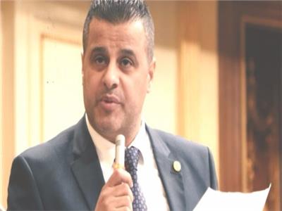 برلماني يطالب بمحاكمة من أهانوا جواز السفر المصرى