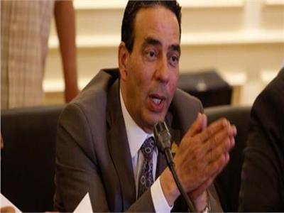 بالفيديو| برلماني: العالم يتابع الثورة المصرية الصحية