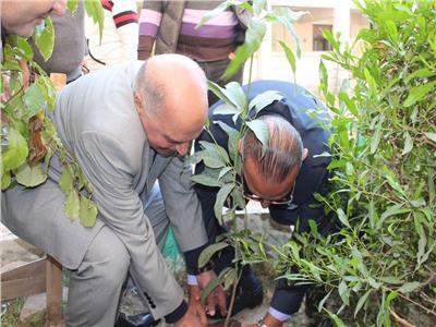 «نقيب المعلمين» يطلق مبادرة زراعة المليون شجرة مثمرة ببورسعيد
