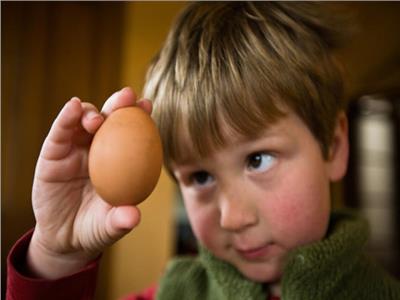 متى يبدأ طفلك يتناول البيض؟ وطرق تقديمه