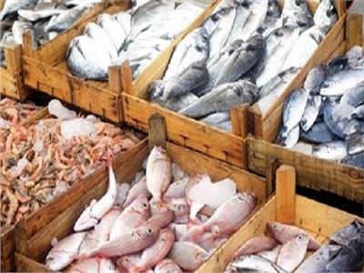 ننشر «أسعار الأسماك» بسوق العبور