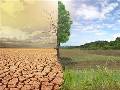 «الزراعة» تنظم دورات تدريبية للتعامل مع التغيرات المناخية 