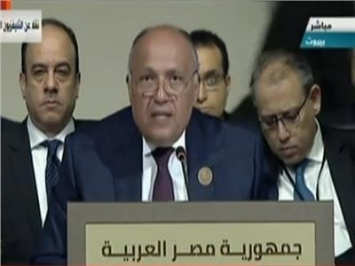 فيديو|وزير الخارجية: الدول العربية نجحت في تحرير التجارة الحرة