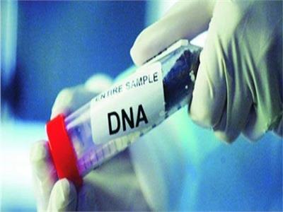 هل يجوز تجربة DNA عند الشك في المولود؟