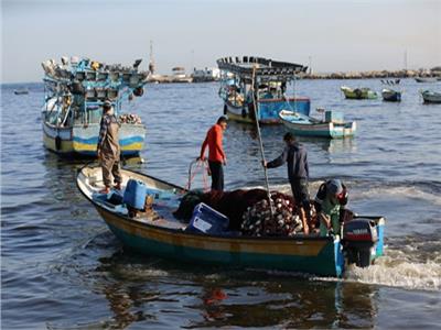 فيديو| الزراعة تكشف حقيقة وقف الصيد في البحر الأحمر لمدة 7 أشهر