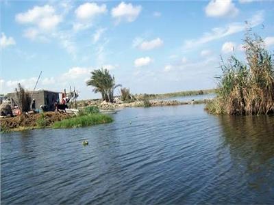 أيمن شنودة: الرئيس وجه بدراسة إنشاء مجتمع عمراني على بحيرة المنزلة 