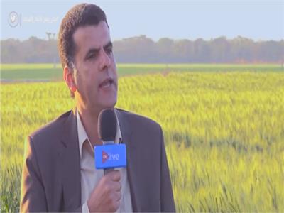 فيديو| مدير المزرعة المشتركة مع زامبيا: القمح المصرى جودته عالية