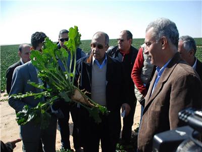 15 صورة تلخص جولة وزير الزراعة بمشروع الـ20 ألف فدان بالمنيا