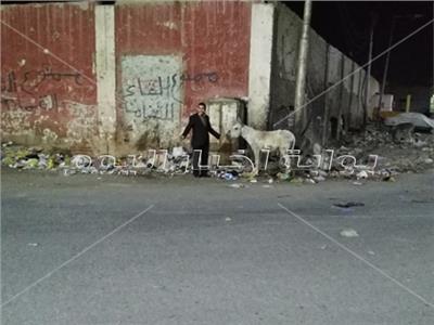 صور| الاهمال يحول شارع الكاتب الصحفي «أحمد بهاء الدين» لمقلب قمامة 