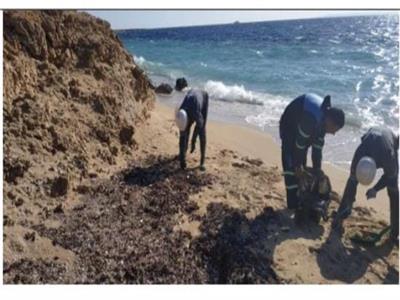 وزارة البيئة تزيل بقع تلوث زيتي بشاطئ محمية رأس محمد
