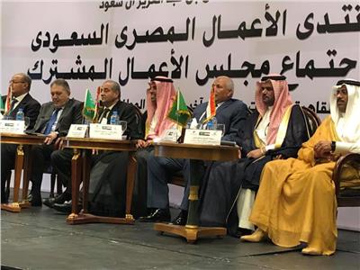 «المصيلحي» يقترح تشكيل لجنة متخصصة مصرية سعودية لمتابعة ما يتخذ من قرارات