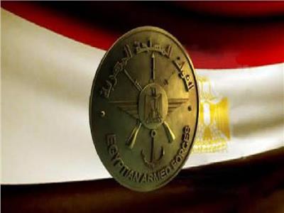 فيديو| «إني أهيم بمصر».. أغنية جديدة تستعرض بطولات الجيش والشرطة