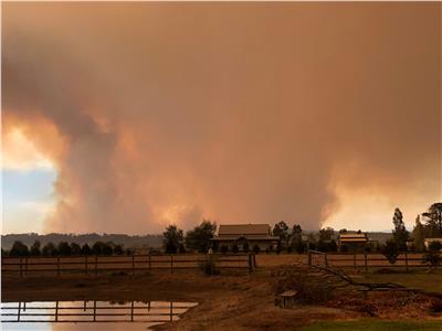 حرائق الغابات تدمر أكثر من 30 منزلا بولاية فيكتوريا الأسترالية