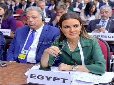 مصر تطالب المؤسسات الدولية بوضع أولويات الدول النامية على رأس أجندتها